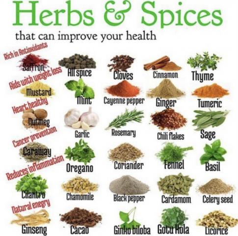 Food is thy medicine