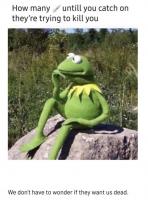 To be or not to be fooled 