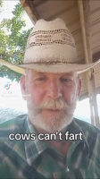 Cows can't fart